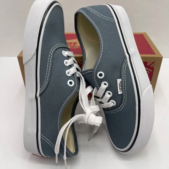 Vans Men’s Authentic Color Theory Stormy WeatherVN000EGARV2 Sneakers